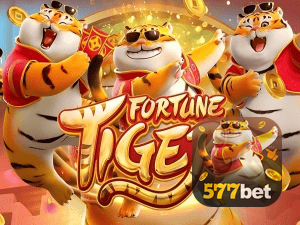 Guia install APK 577BET BR