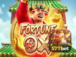 577BET login — painel de entrada no app oficial