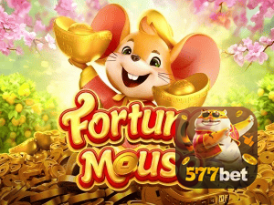 577BET login — configurações de segurança e proteção de conta